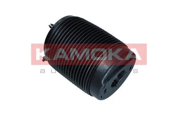 Air Spring, suspension 2079068