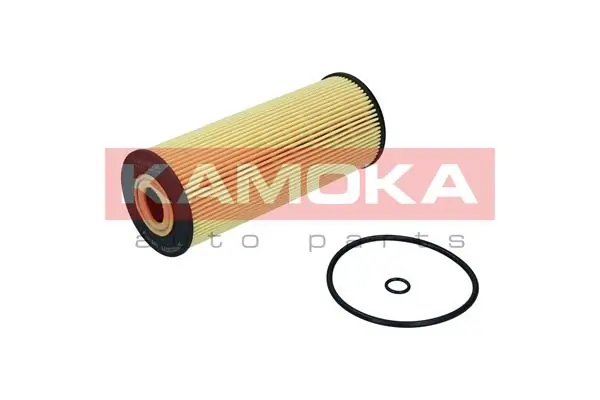 Oil Filter F100601