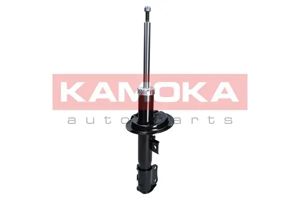 Shock Absorber 2000204