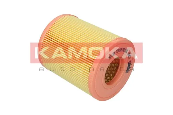 Air Filter F236501