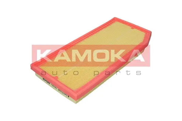 Air Filter F257301