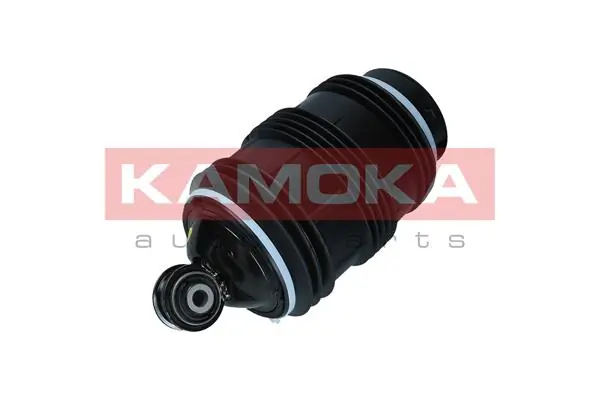 Air Spring, suspension 2079053