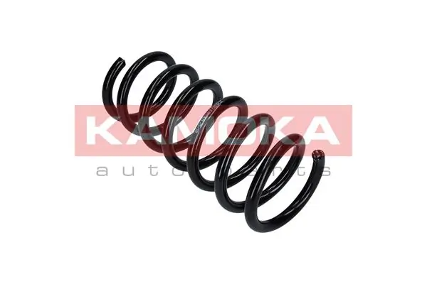 Suspension Spring 2120281