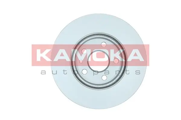 Brake Disc 1031061