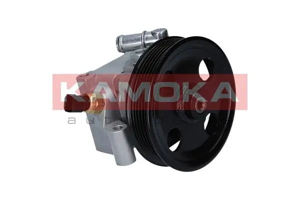 Hydraulic Pump, steering PP098