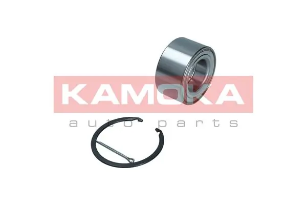 Wheel Bearing Kit 5600164