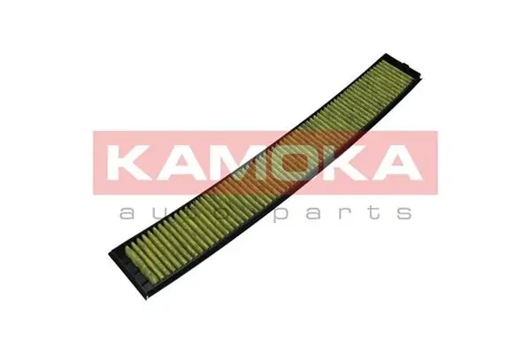 Filter, cabin air 6080026
