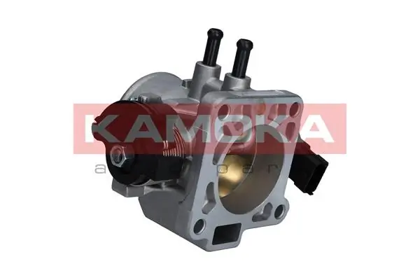 Throttle Body 112028
