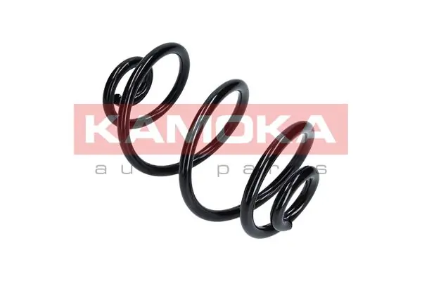 Suspension Spring 2120113