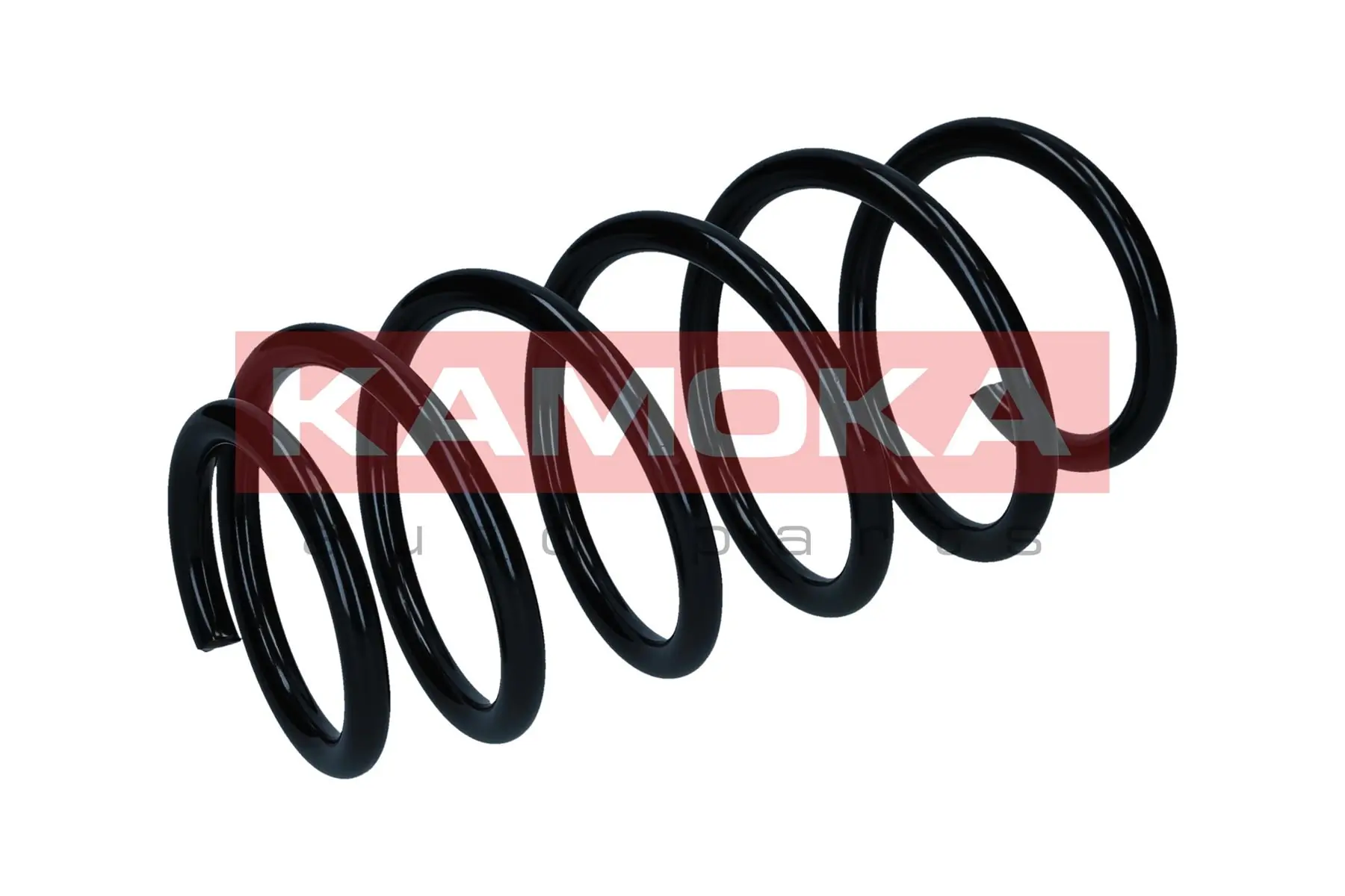 Suspension Spring 2110670