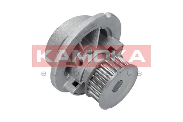 Water Pump, engine cooling T0231
