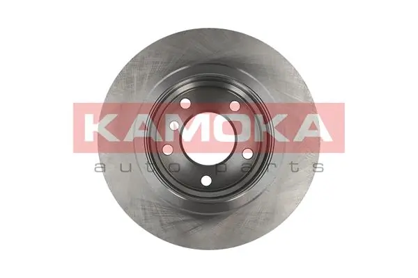 Brake Disc 1031007