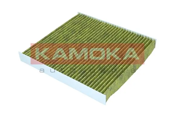 Filter, cabin air 6080141
