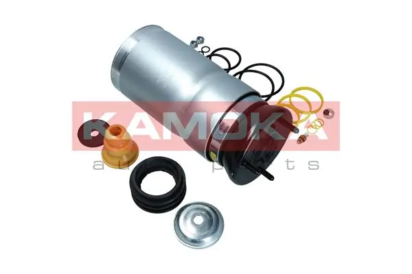 Air Spring, suspension 2079029