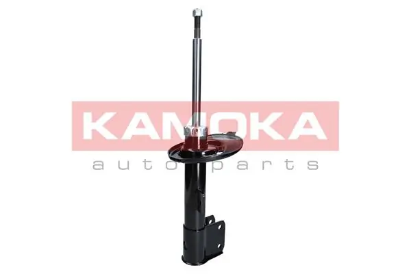 Shock Absorber 2000047