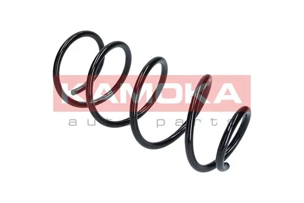 Suspension Spring 2110114