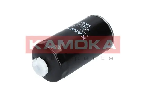 Fuel Filter F300701