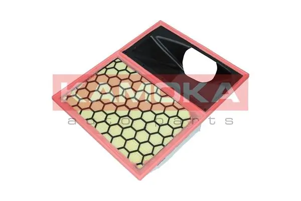 Air Filter F253501
