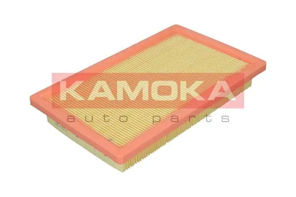 Air Filter F253401