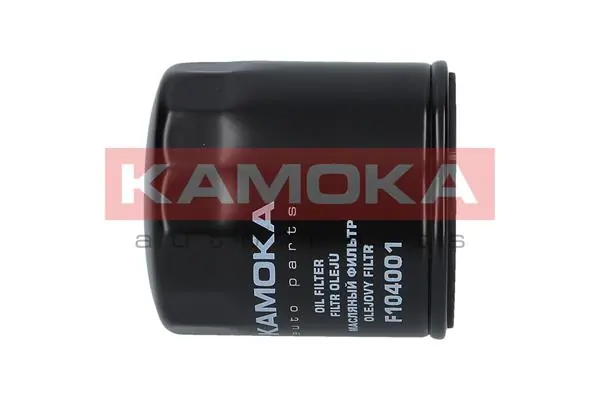 Oil Filter F104001