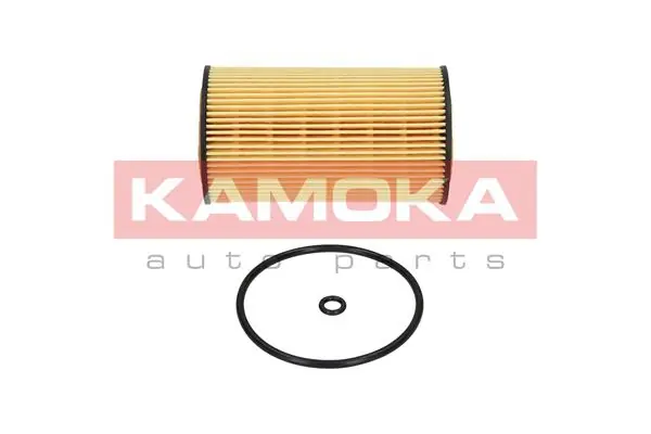 Oil Filter F102101