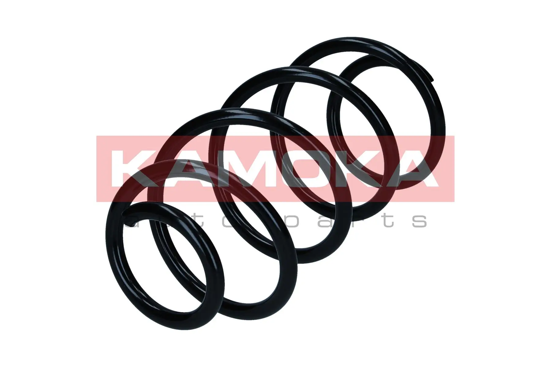 Suspension Spring 2110842