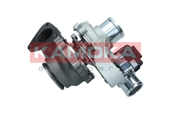 Charger, charging (supercharged/turbocharged) 8600019