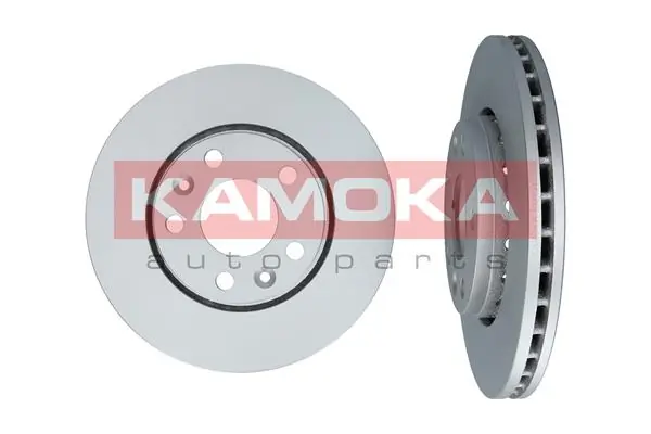 Brake Disc 1031043