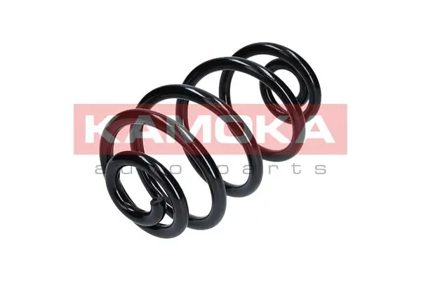 Suspension Spring 2120225