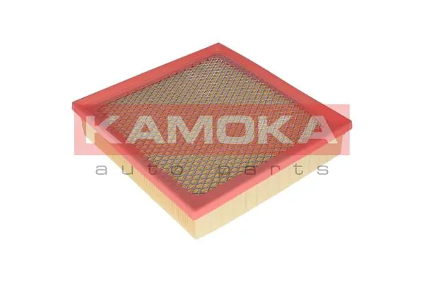 Air Filter F224801