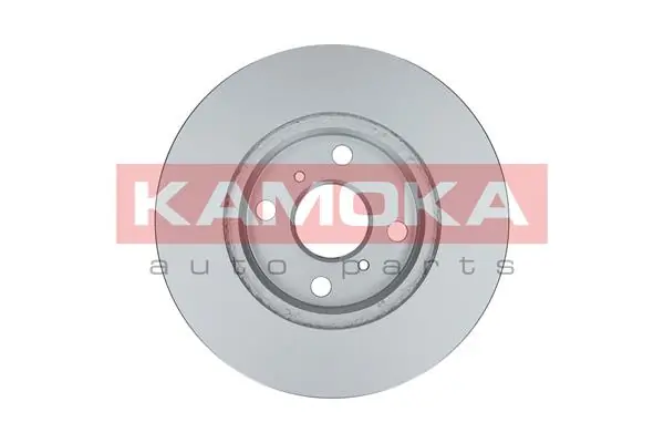 Brake Disc 1032006
