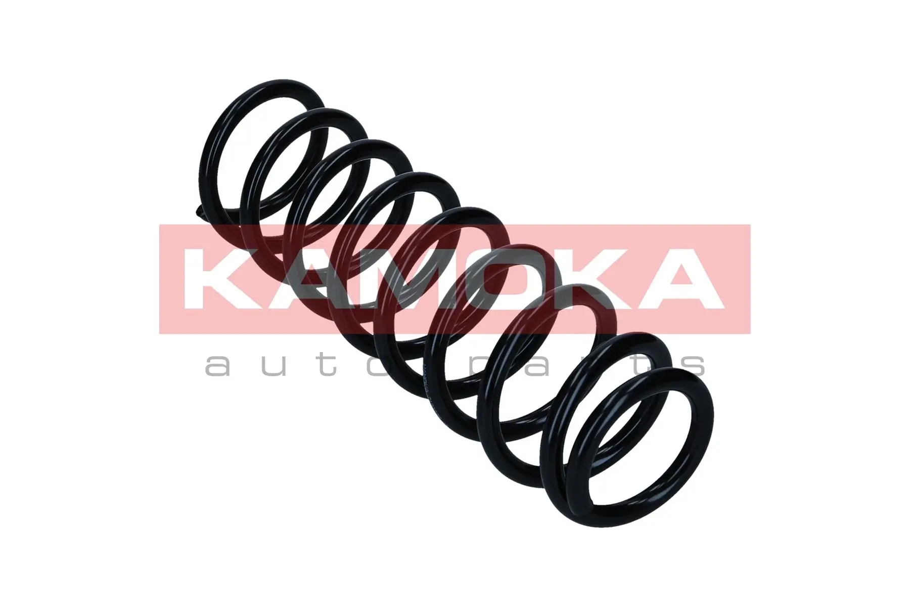 Suspension Spring 2120335