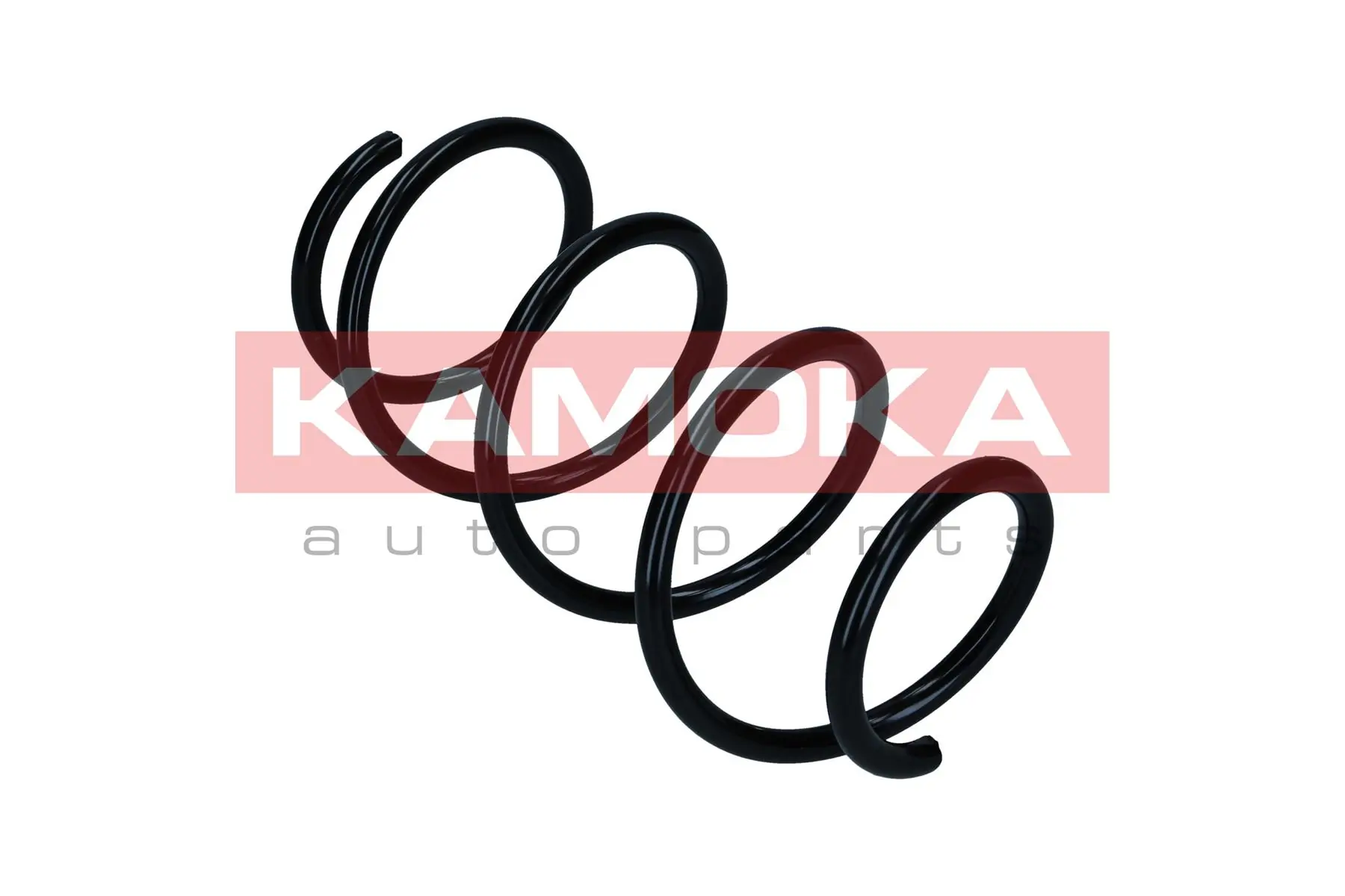 Suspension Spring 2110651