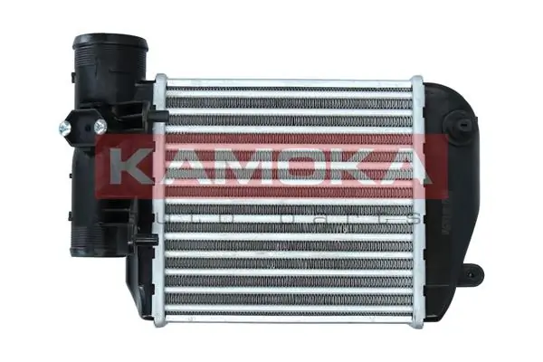Charge Air Cooler 7750060
