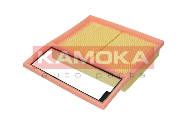 Air Filter F252901