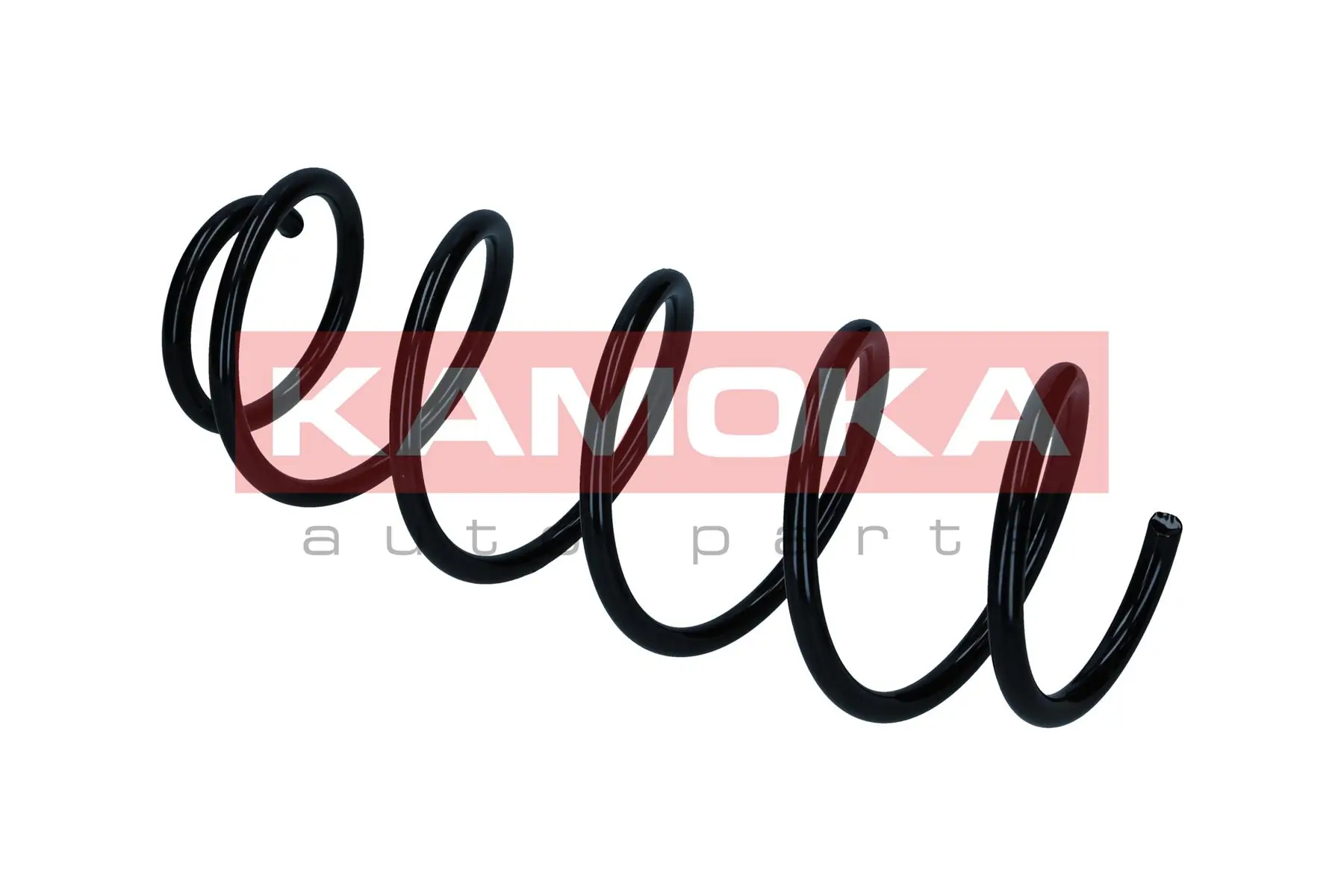 Suspension Spring 2110457