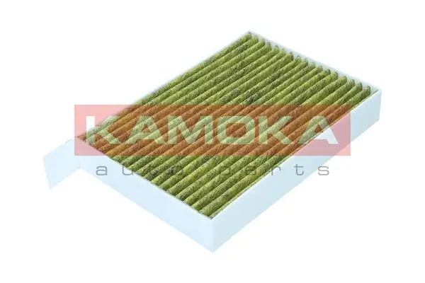 Filter, cabin air 6080161