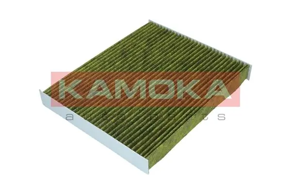 Filter, cabin air 6080110
