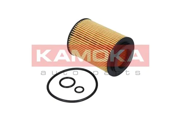 Oil Filter F111901