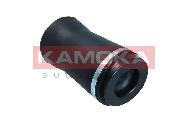 Air Spring, suspension 2079028