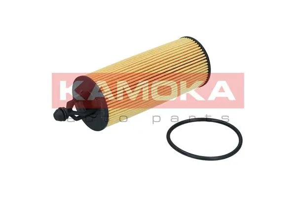 Oil Filter F122901