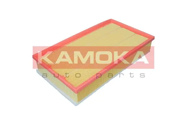 Air Filter F257701