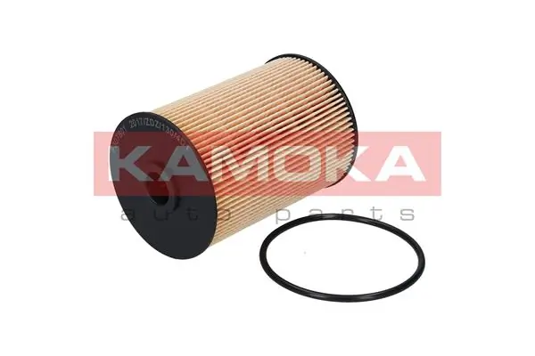 Fuel Filter F307801