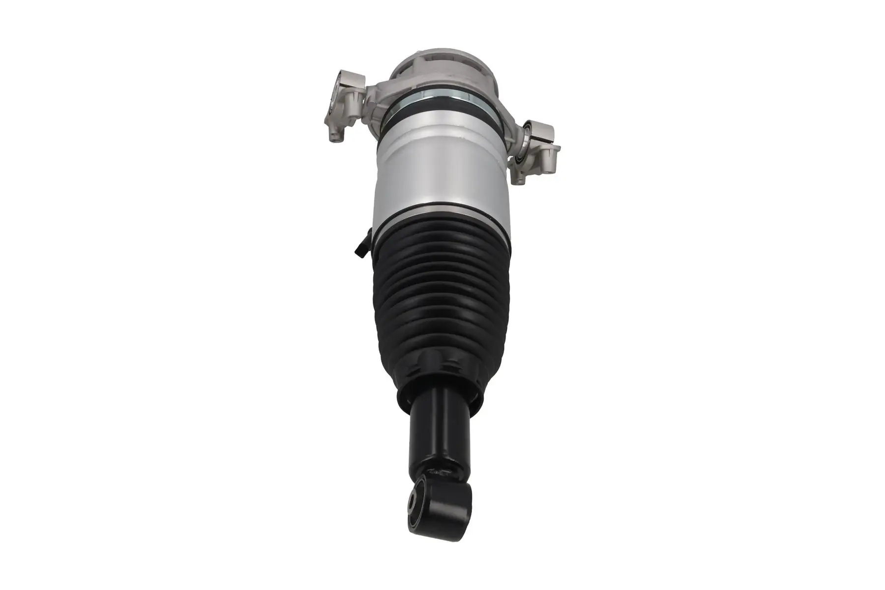 Air Suspension Strut 2070031