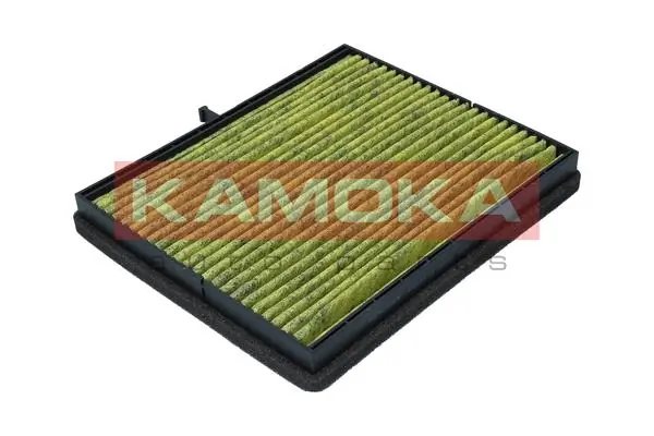 Filter, cabin air 6080120