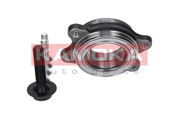 Wheel Hub 5500153
