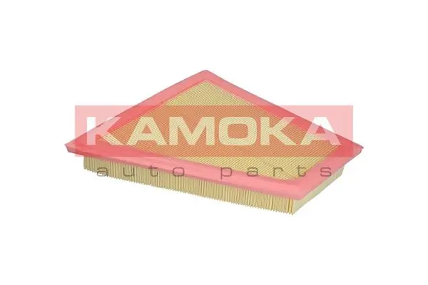 Air Filter F218801