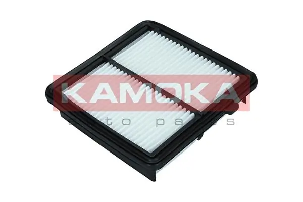 Air Filter F245401