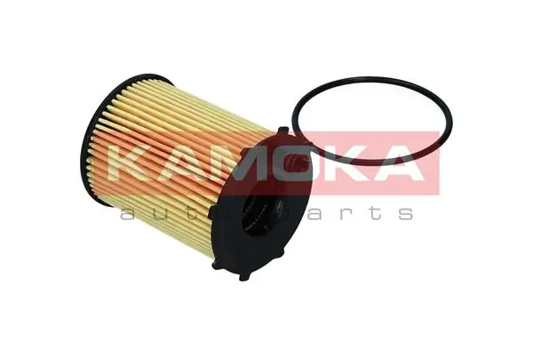 Oil Filter F115901