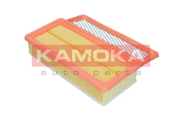 Air Filter F253001
